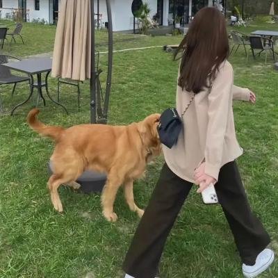 厄运临头